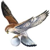 Logo for Great Harwood Golf and Social Club Limited